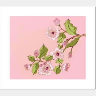 Blooming sakura branch Posters and Art